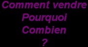 brocanteur_vendre.jpg
